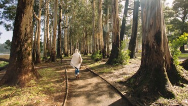 BIOBÍO – ATRACTIVOS POR DESCUBRIR