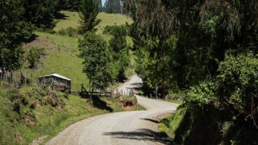 CÓMO SEGUIR LA CARRERA – OSORNO