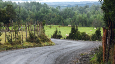 SE SUSPENDE SHAKEDOWN DEL COPEC RALLYMOBIL DE CHILOÉ